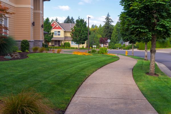 Sidewalk Patching in Colorado Springs